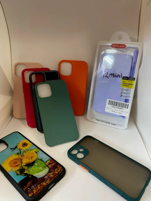 12mini Case